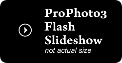 p3 flash gal placeholder