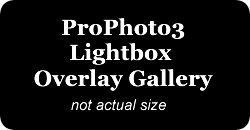P3 Lightbox Gal Placeholder
