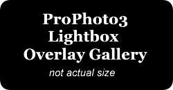 p3 lightbox gal placeholder Murfreesboro Childrens Photographer presents:  Baby Harlans Newborn Photos